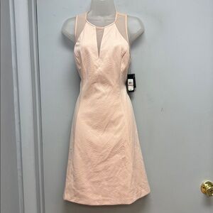 GUESS Blush Pink Textured Dress – NWT